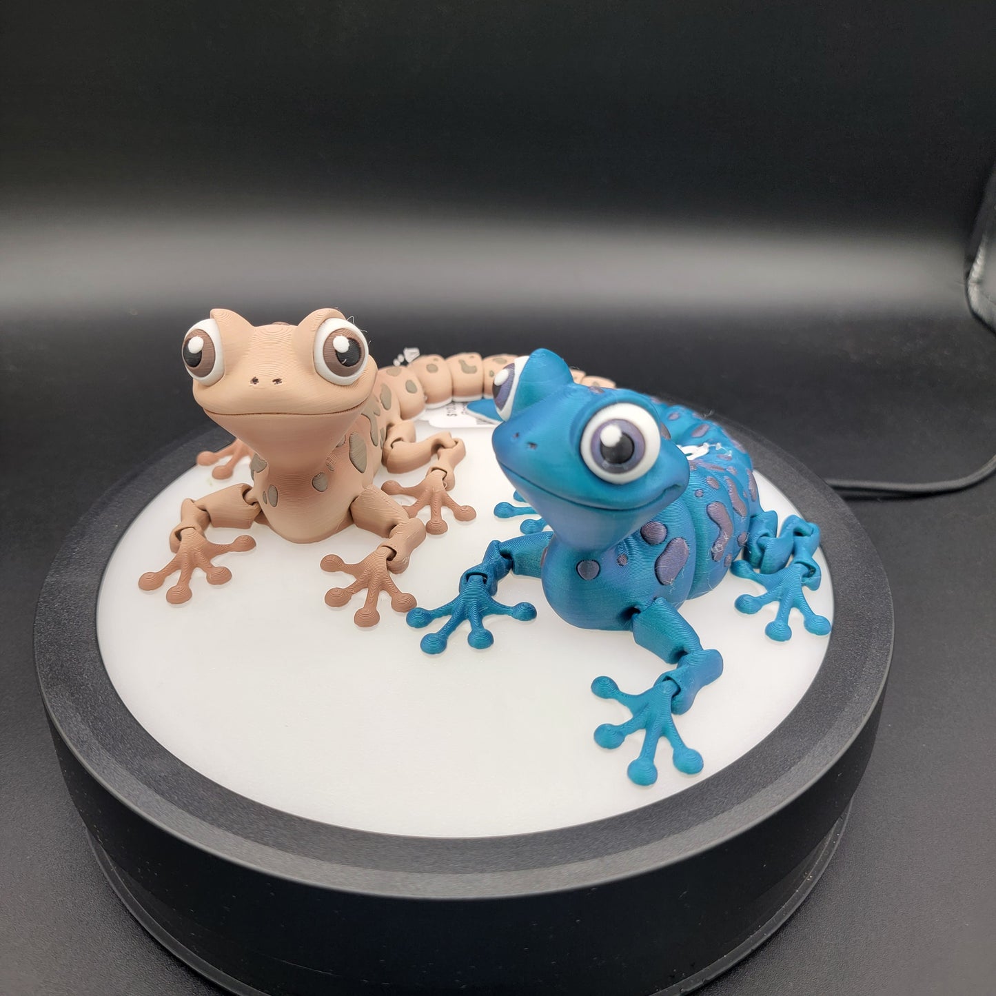 Gecko
