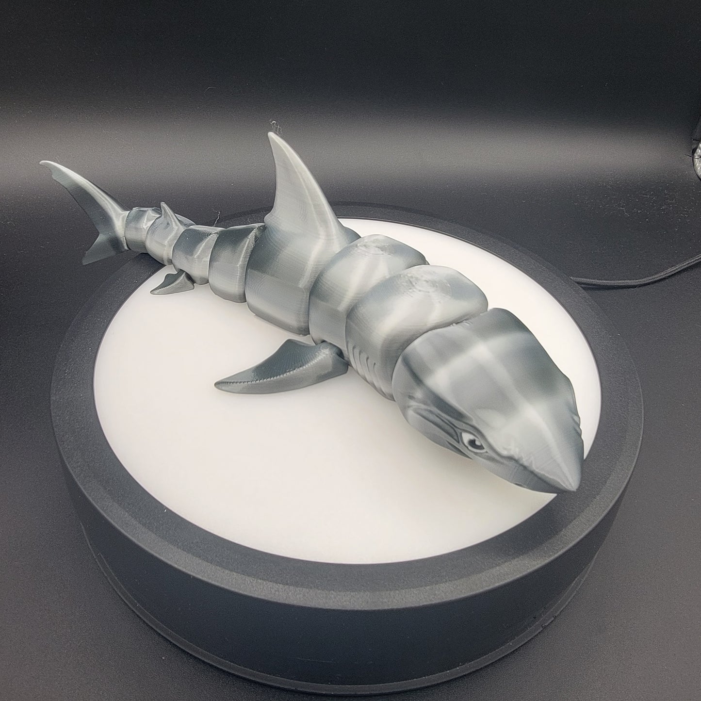 Shark