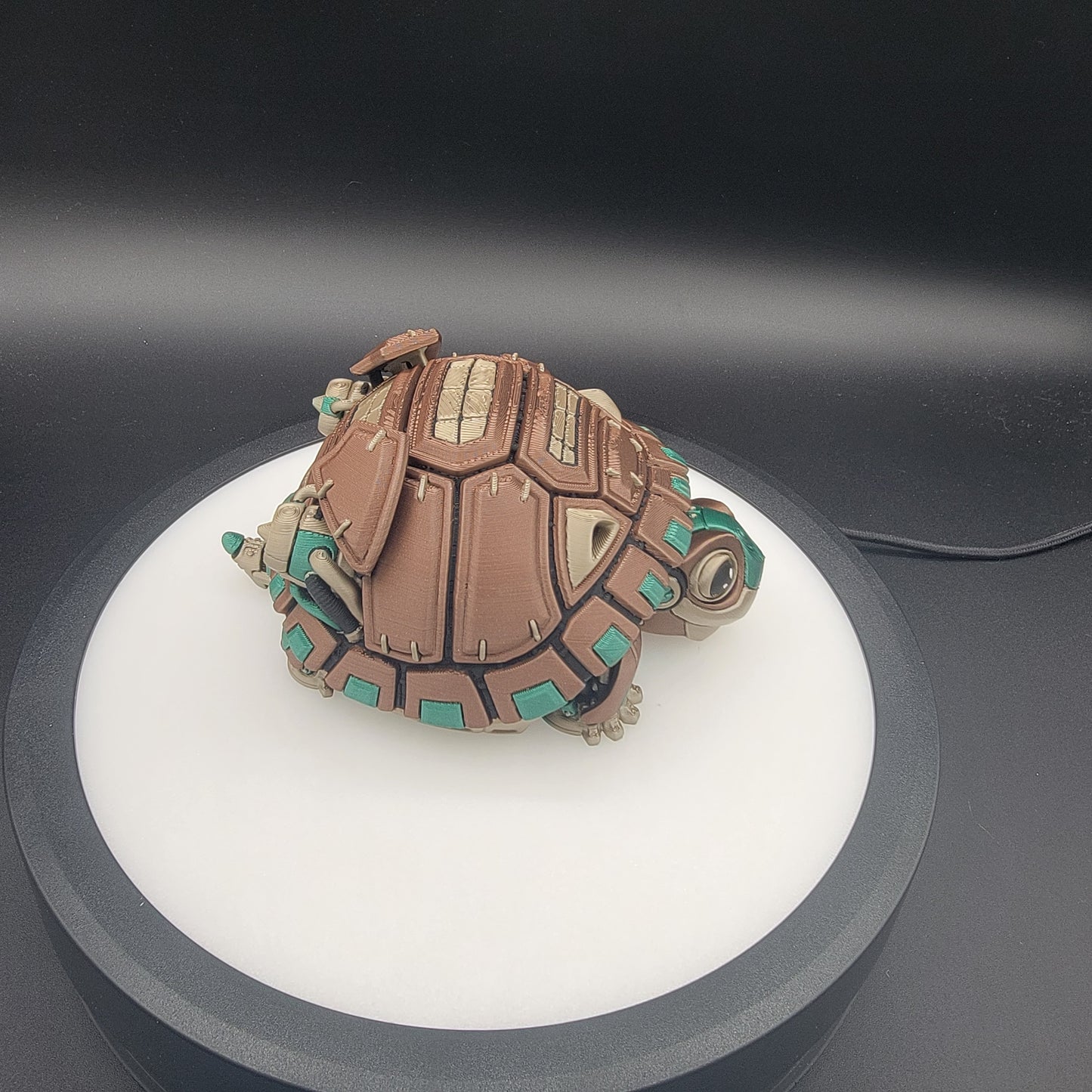 Cyber Turtle