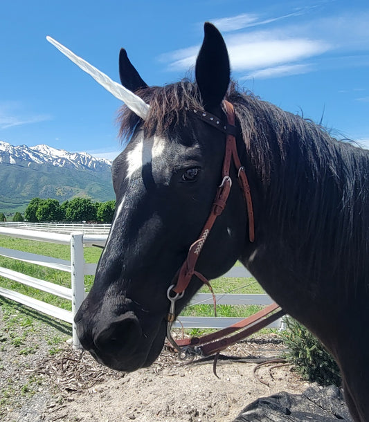 Unicorn Horn Brow Band