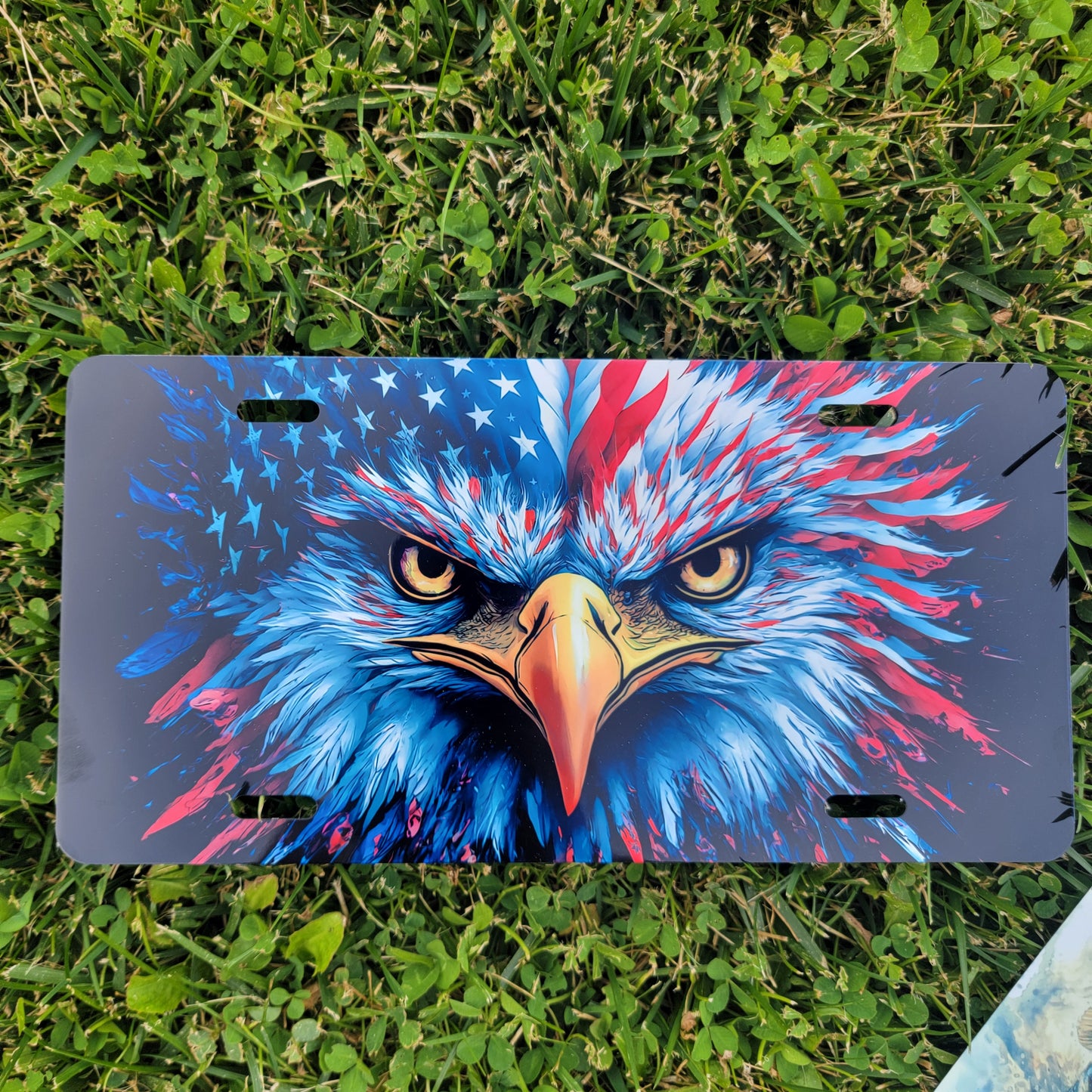 Sublimated Metal License Plate Art