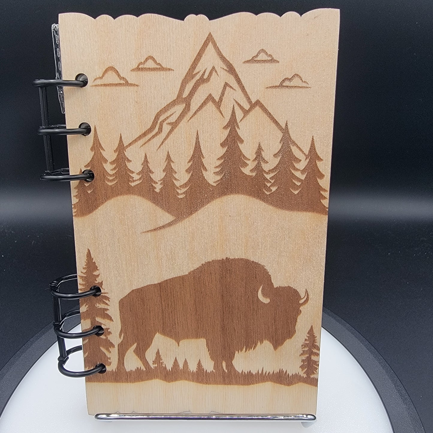 Buffalo/Bison among Mountains