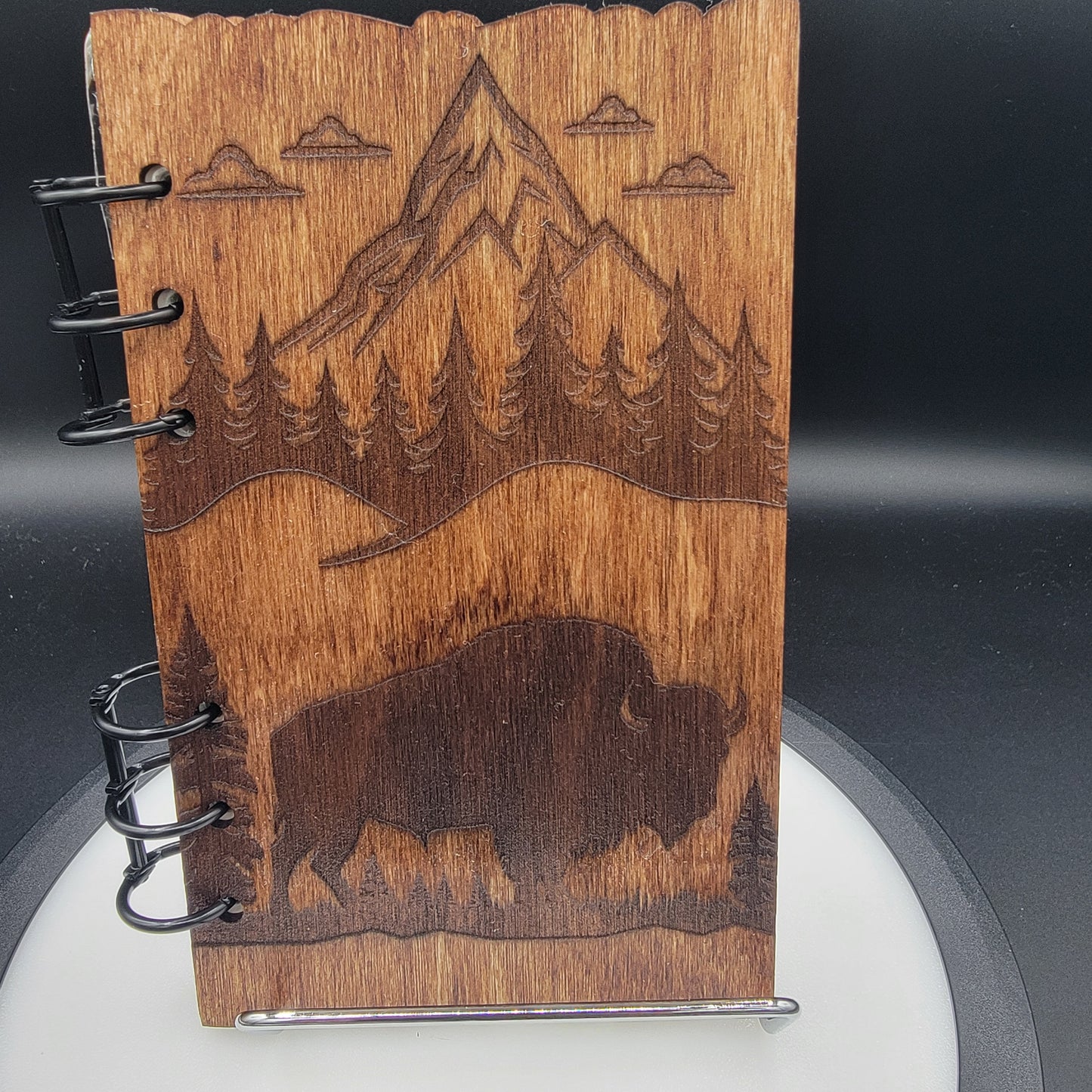 Buffalo/Bison among Mountains