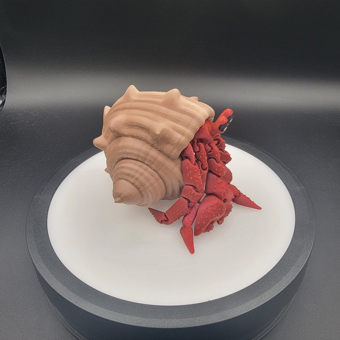 Hermit Crab 3D Print