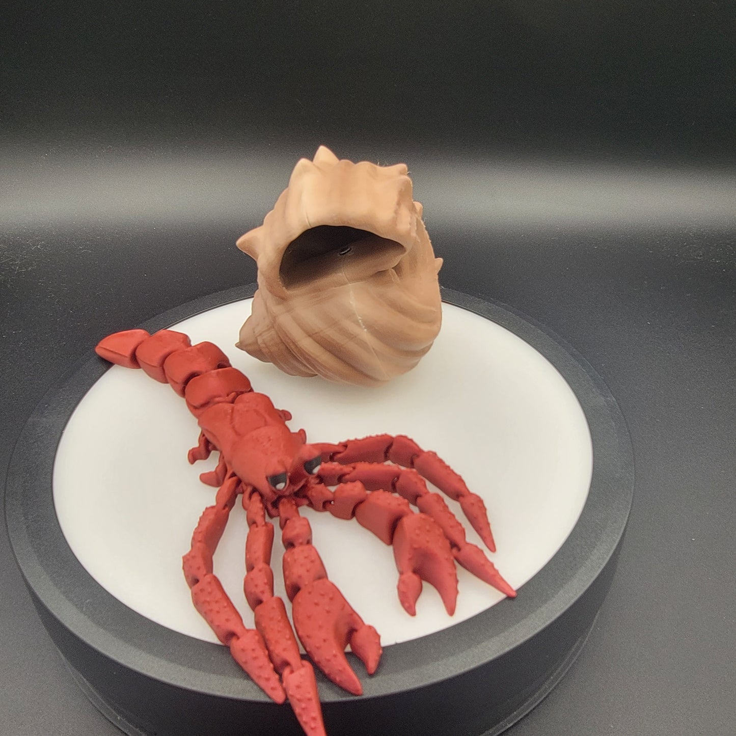 Hermit Crab 3D Print