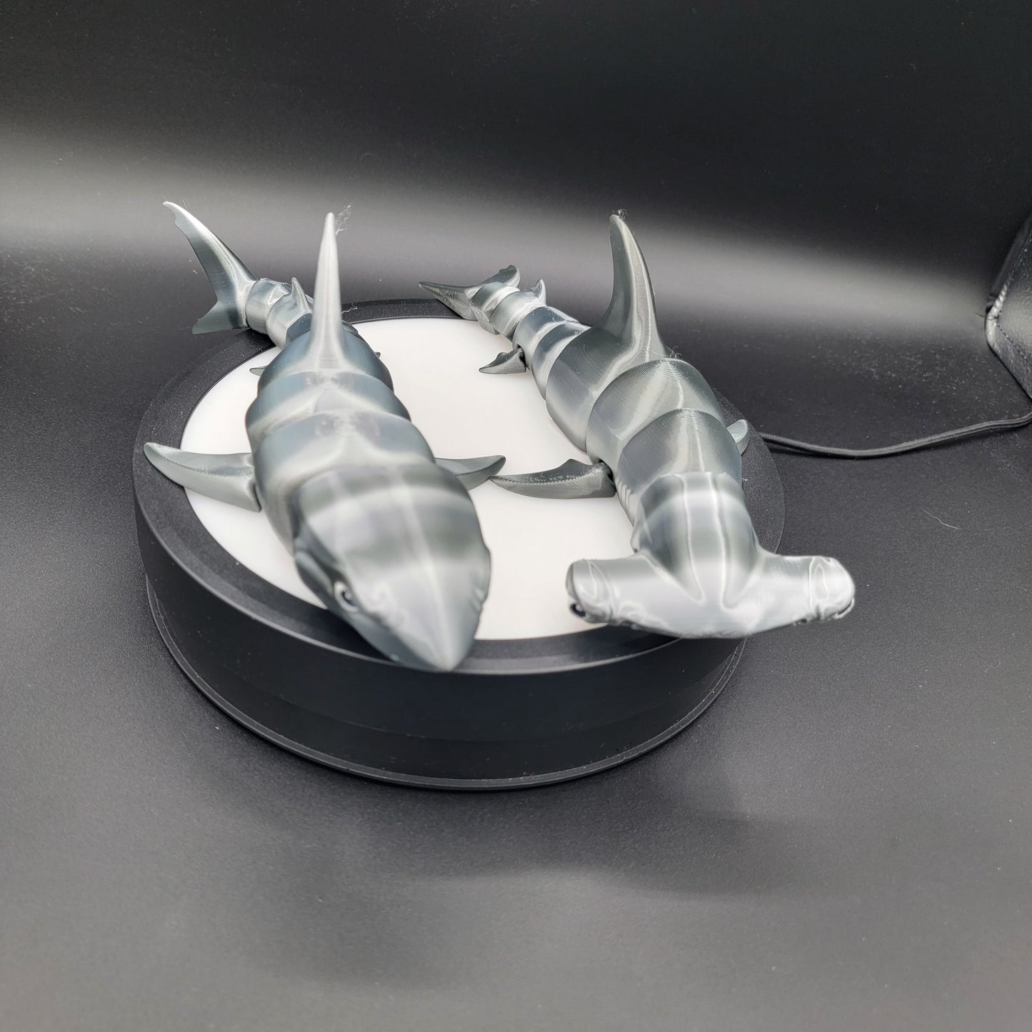 Shark