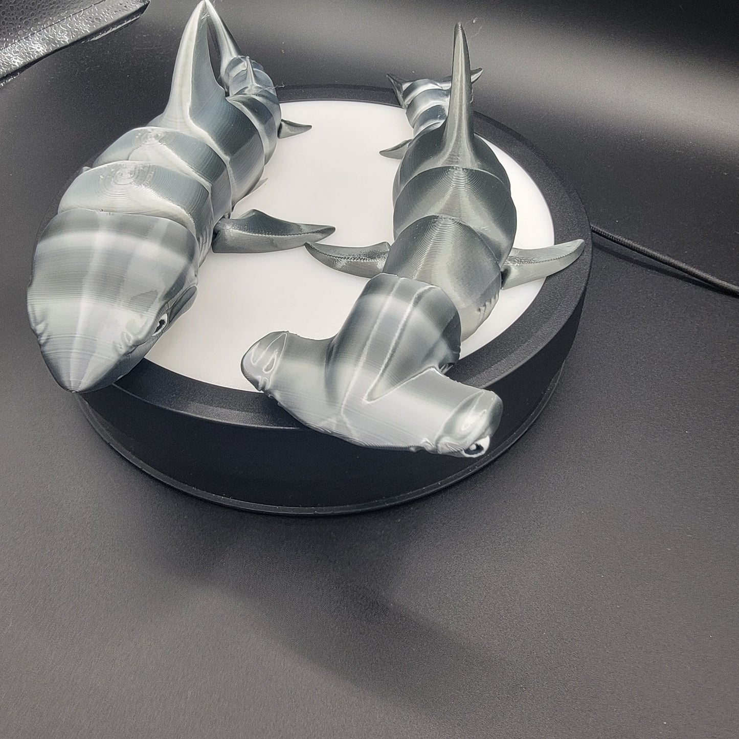 Shark