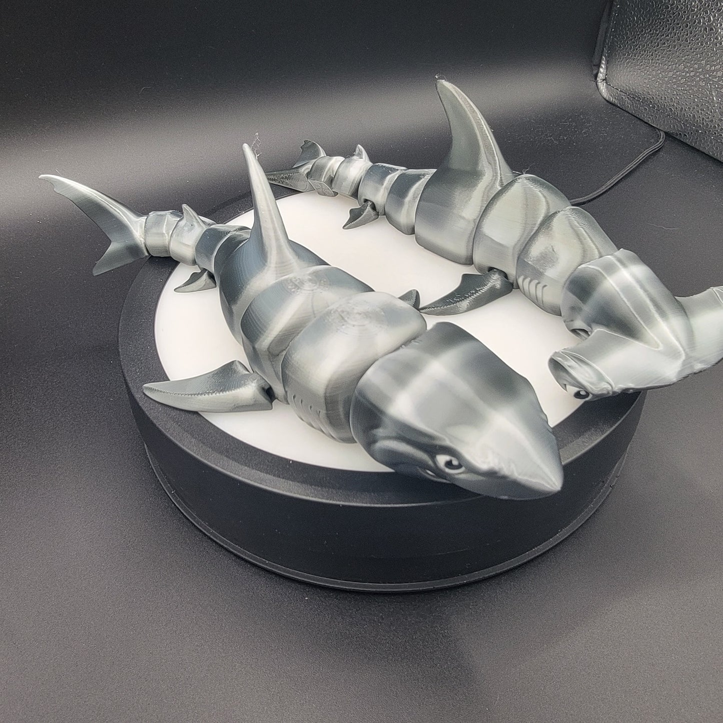 Shark