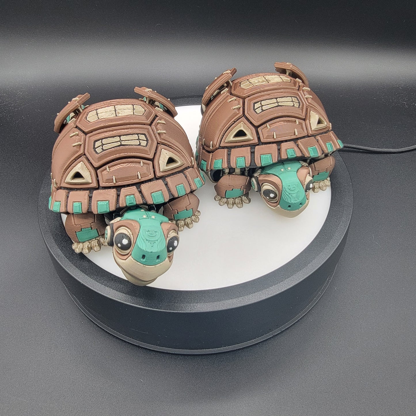 Cyber Turtle