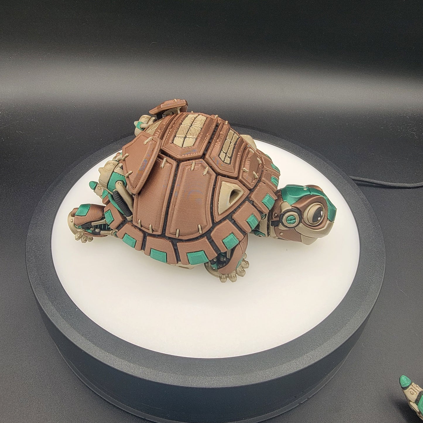 Cyber Turtle