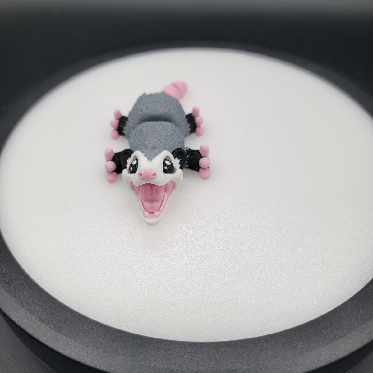 Possum Baby