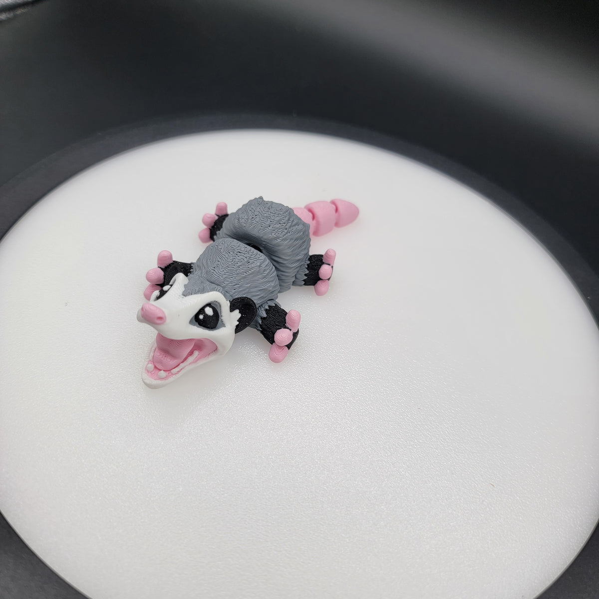 Possum Baby